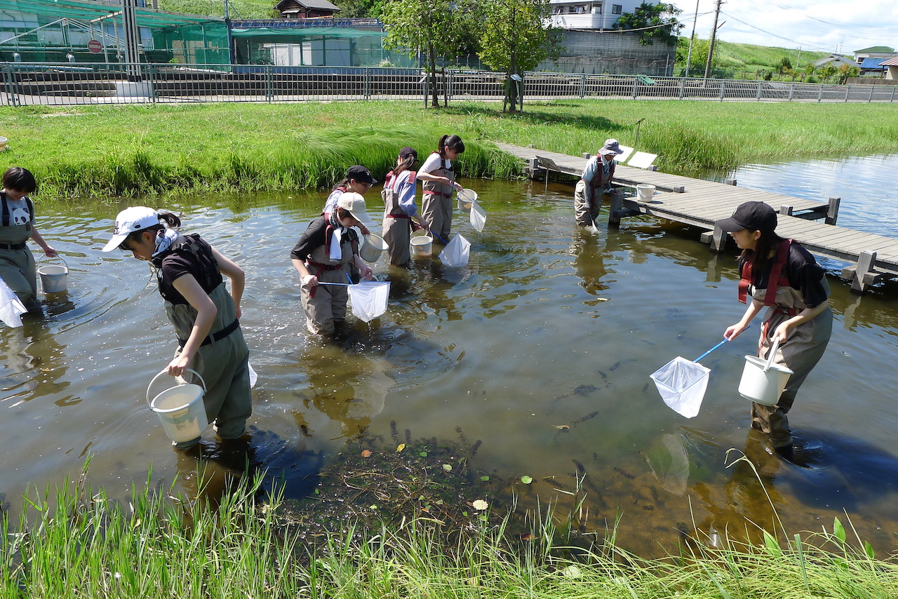 生物多様性センターで実習を楽しむ滝井高校の生徒たち